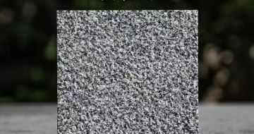 常州 芝麻黑荔枝面