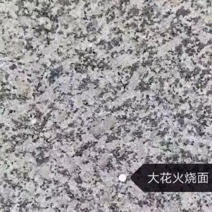 常州 芙蓉白（芝麻白大花）火烧面