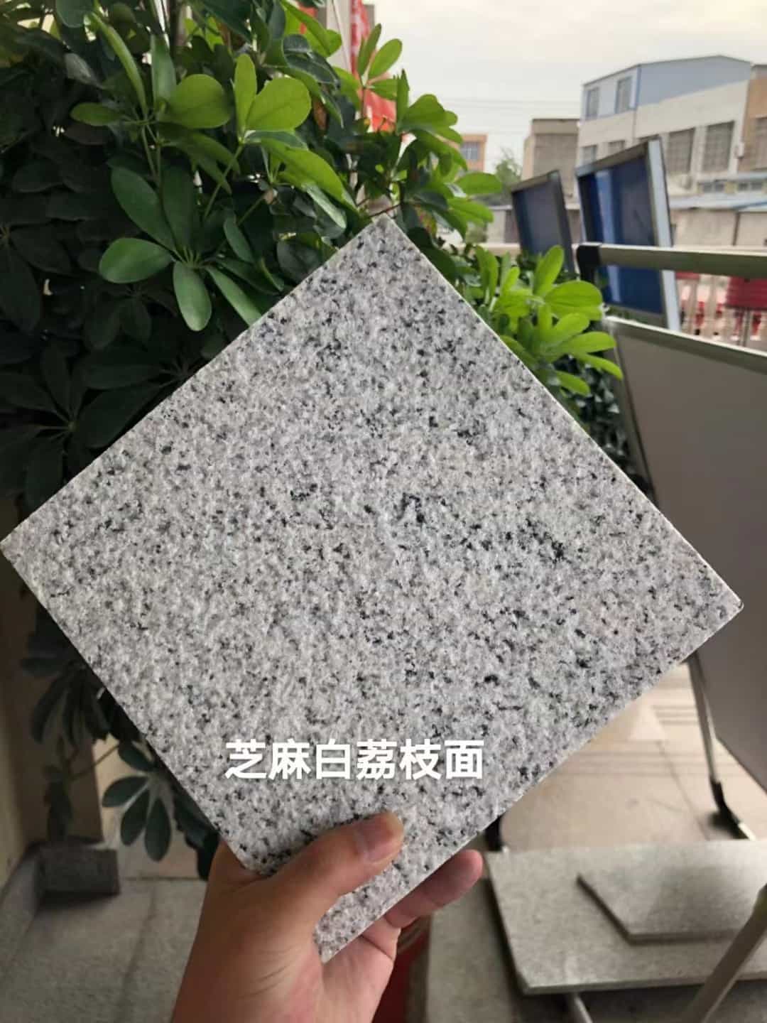 常州 芝麻白荔枝面干挂