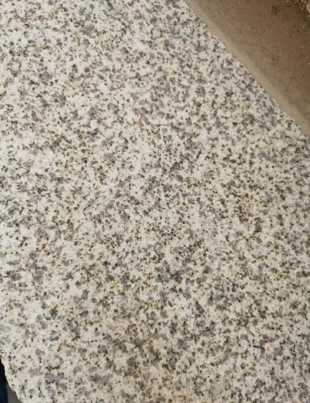 常州 黄金麻中黄光面