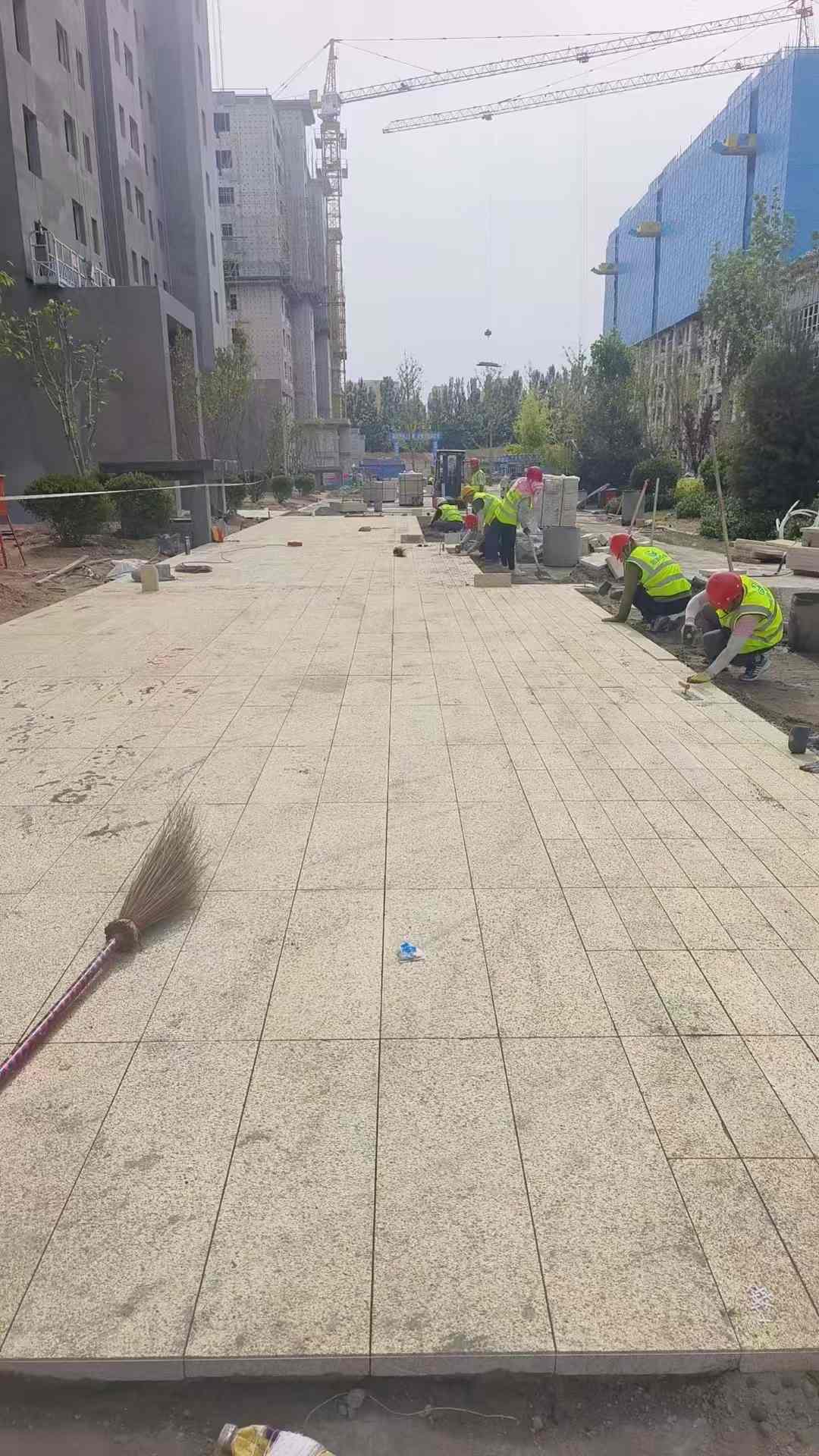 常州黄金麻荔枝面地铺案例
